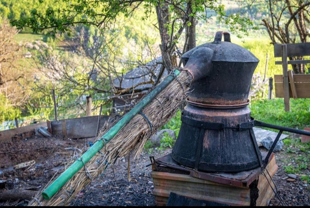 Household Babovic - Old House Miljan'S Valley Andrijevica المظهر الخارجي الصورة
